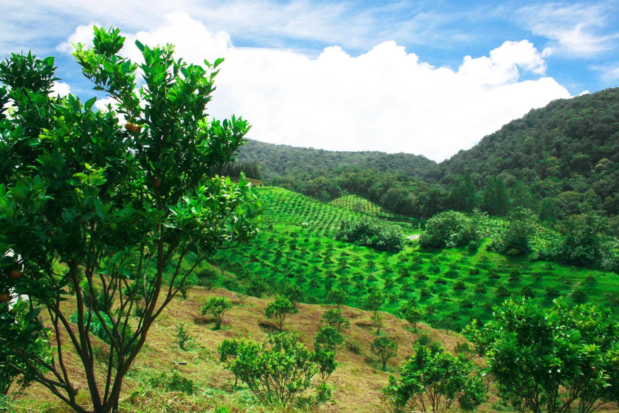 Taman Simalem Resort Tongging Buitenkant foto