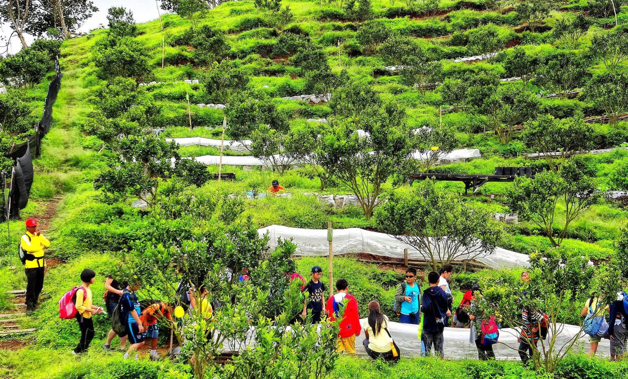 Taman Simalem Resort Tongging Buitenkant foto