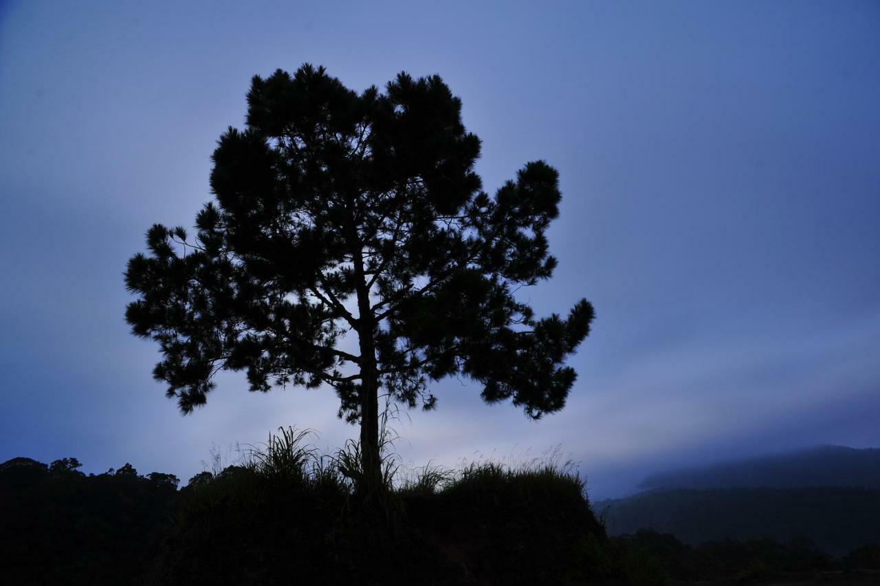 Taman Simalem Resort Tongging Buitenkant foto